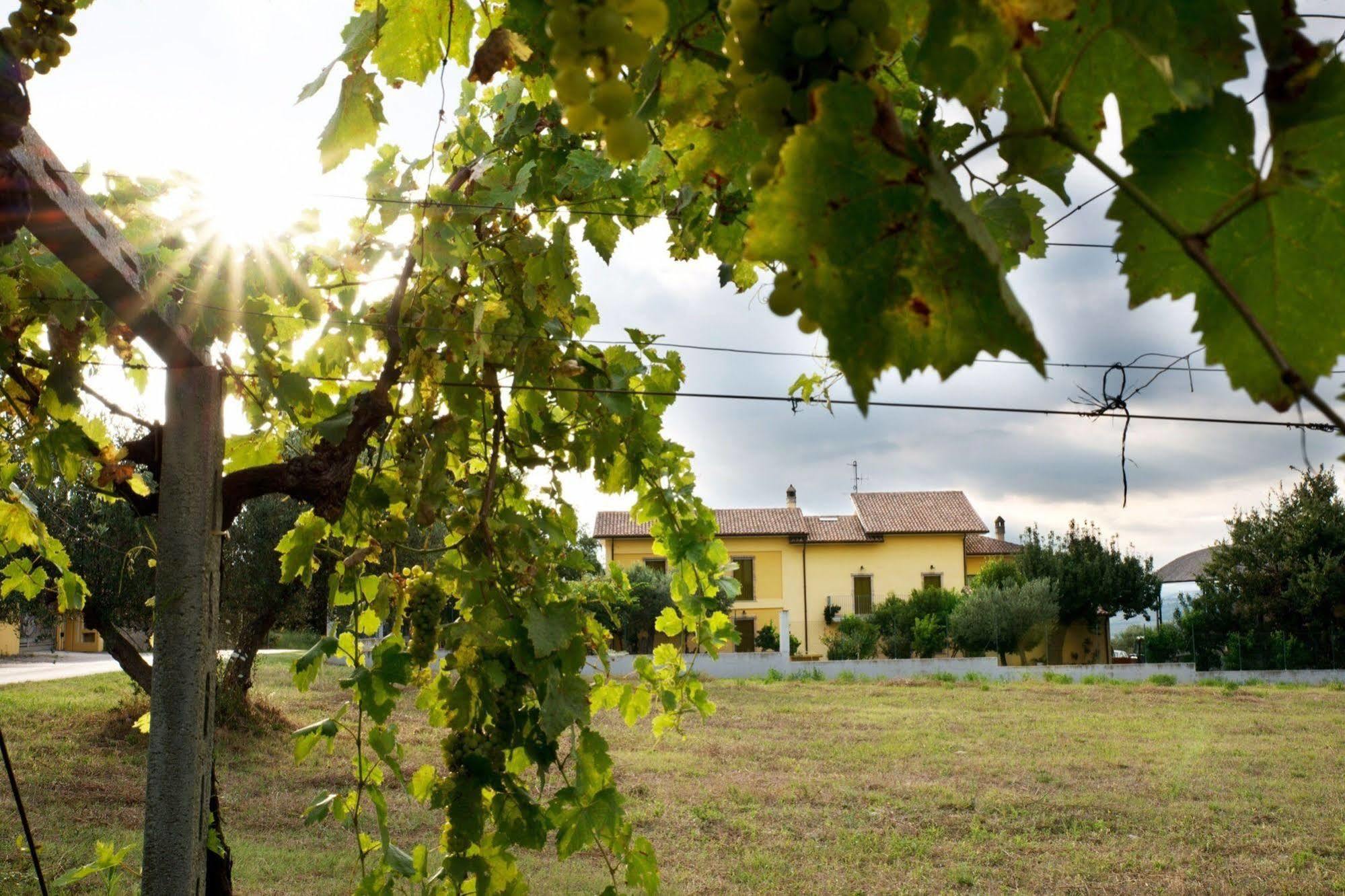 Agriturismo Il Casolare Di Nonno Mario Manoppello Exterior photo